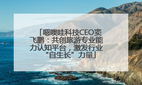 嗯噢哇科技CEO窦飞鹏：共创旅游专业能力认知平台，激发行业“自生长”力量
