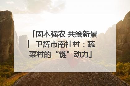 固本强农 共绘新景 ︳卫辉市南社村：蔬菜村的“链”动力