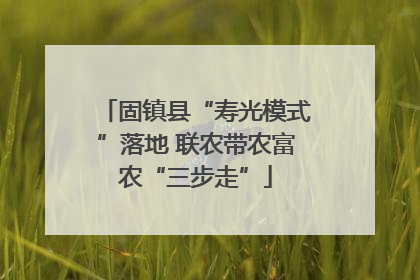 固镇县“寿光模式”落地 联农带农富农“三步走”