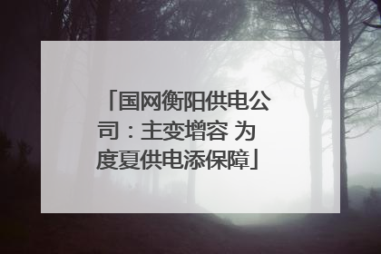 国网衡阳供电公司：主变增容 为度夏供电添保障