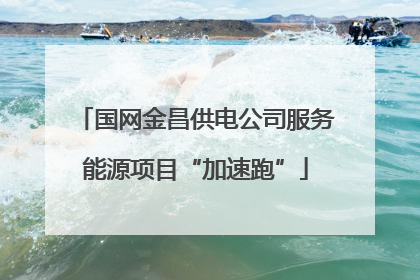 国网金昌供电公司服务能源项目“加速跑”