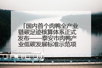 国内首个肉鸭全产业链碳足迹核算体系正式发布——泰安市肉鸭产业低碳发展标准示范项目顺利通过验收