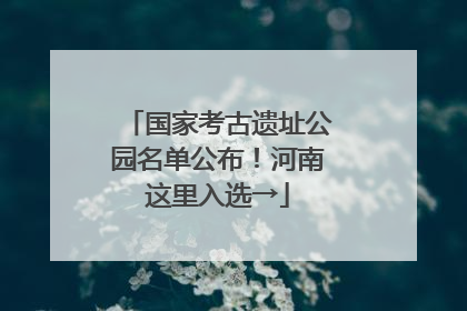 国家考古遗址公园名单公布！河南这里入选→