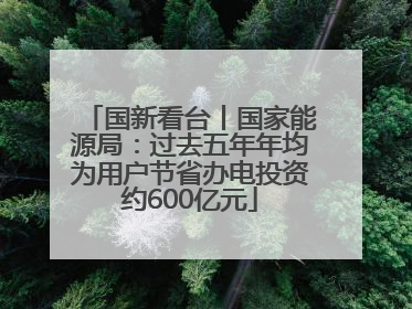国新看台丨国家能源局：过去五年年均为用户节省办电投资约600亿元
