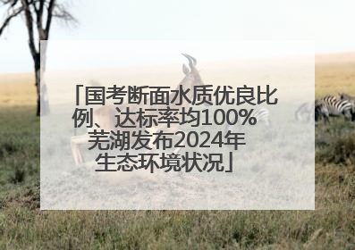 国考断面水质优良比例、达标率均100% 芜湖发布2024年生态环境状况