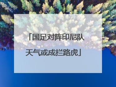国足对阵印尼队 天气或成拦路虎