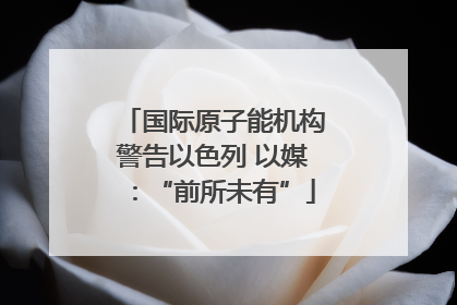 国际原子能机构警告以色列 以媒：“前所未有”