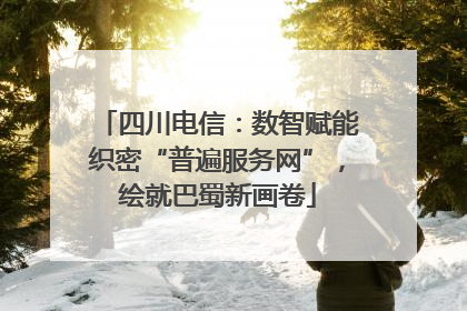 四川电信：数智赋能织密“普遍服务网”，绘就巴蜀新画卷