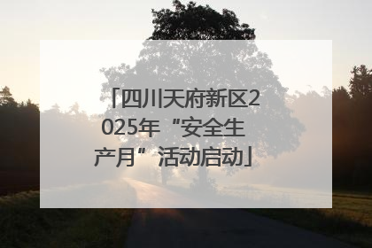 四川天府新区2025年“安全生产月”活动启动