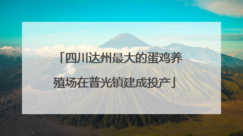 四川达州最大的蛋鸡养殖场在普光镇建成投产
