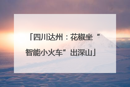 四川达州：花椒坐“智能小火车”出深山
