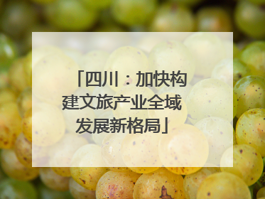 四川：加快构建文旅产业全域发展新格局