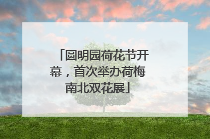 圆明园荷花节开幕，首次举办荷梅南北双花展