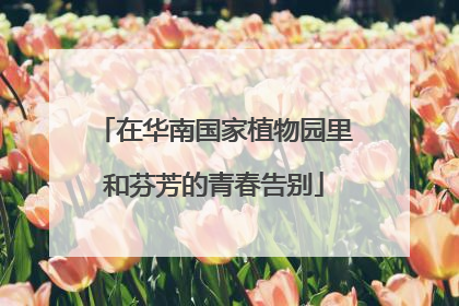 在华南国家植物园里和芬芳的青春告别
