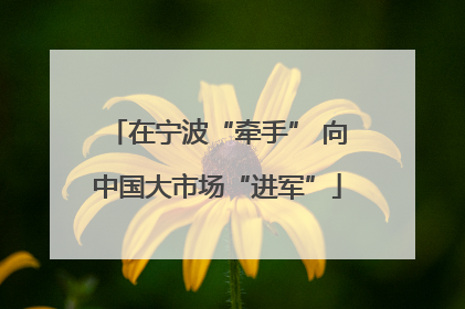 在宁波“牵手” 向中国大市场“进军”