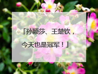孙颖莎、王楚钦，今天也是冠军！