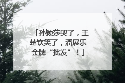 孙颖莎哭了，王楚钦笑了，潘展乐金牌“批发”！