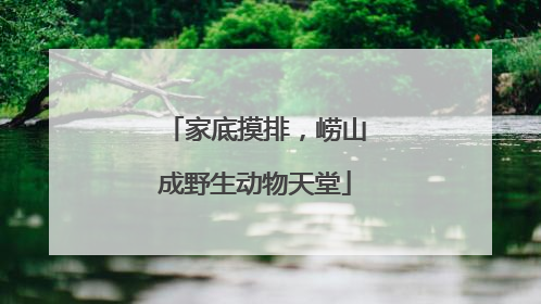 家底摸排，崂山成野生动物天堂