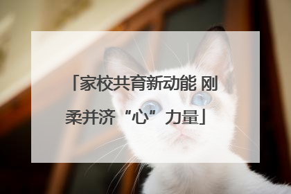 家校共育新动能 刚柔并济“心”力量