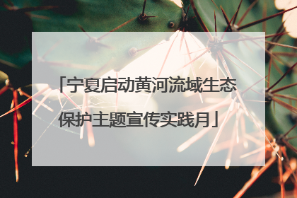 宁夏启动黄河流域生态保护主题宣传实践月