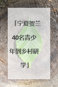 宁夏贺兰40名青少年到乡村研学