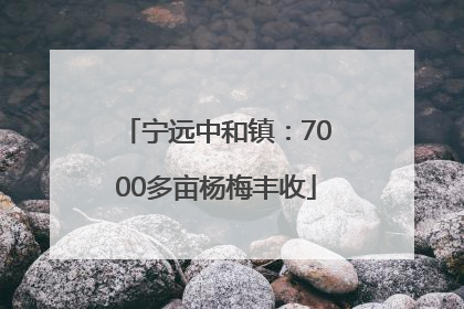 宁远中和镇：7000多亩杨梅丰收