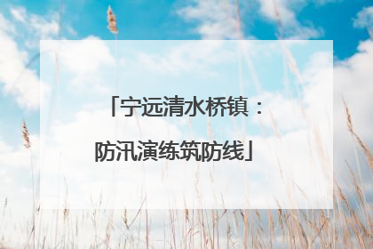 宁远清水桥镇：防汛演练筑防线
