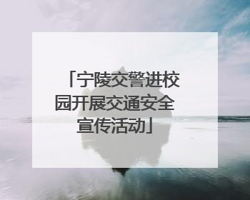 宁陵交警进校园开展交通安全宣传活动