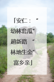 安仁：“幼林套瓜”趟新路 “林地生金”富乡亲