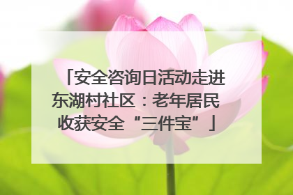 安全咨询日活动走进东湖村社区：老年居民收获安全“三件宝”