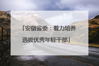 安徽省委：着力培养选拔优秀年轻干部