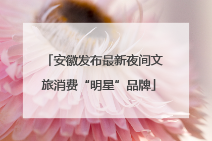 安徽发布最新夜间文旅消费“明星”品牌