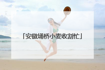 安徽埇桥小麦收割忙