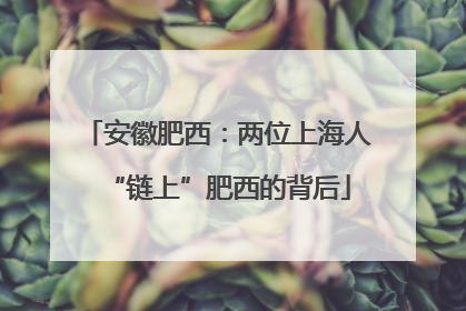 安徽肥西：两位上海人“链上”肥西的背后