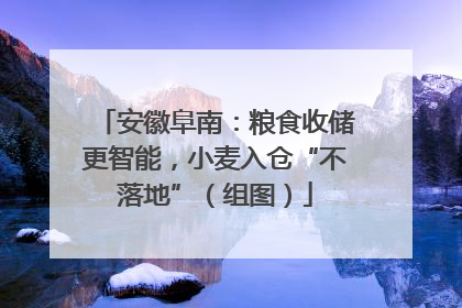 安徽阜南：粮食收储更智能，小麦入仓“不落地”（组图）