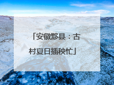 安徽黟县：古村夏日插秧忙