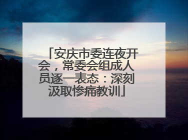 安庆市委连夜开会，常委会组成人员逐一表态：深刻汲取惨痛教训