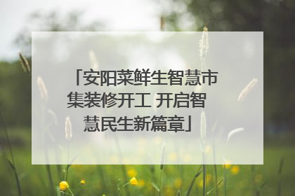 安阳菜鲜生智慧市集装修开工 开启智慧民生新篇章