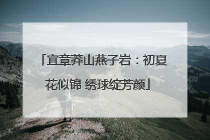 宜章莽山燕子岩：初夏花似锦 绣球绽芳颜