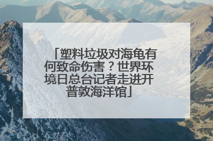 塑料垃圾对海龟有何致命伤害？世界环境日总台记者走进开普敦海洋馆
