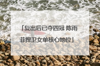 复出后已夺四冠 陈雨菲捍卫女单核心地位