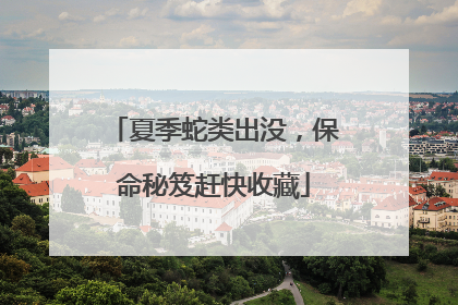 夏季蛇类出没，保命秘笈赶快收藏