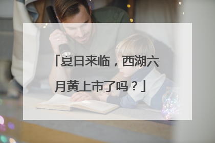 夏日来临，西湖六月黄上市了吗？