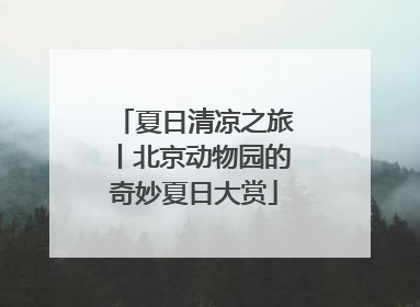 夏日清凉之旅丨北京动物园的奇妙夏日大赏