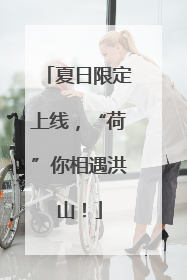 夏日限定上线，“荷”你相遇洪山！