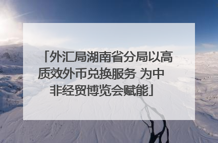 外汇局湖南省分局以高质效外币兑换服务 为中非经贸博览会赋能
