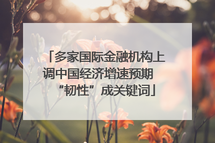 多家国际金融机构上调中国经济增速预期 “韧性”成关键词