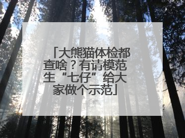 大熊猫体检都查啥？有请模范生“七仔”给大家做个示范