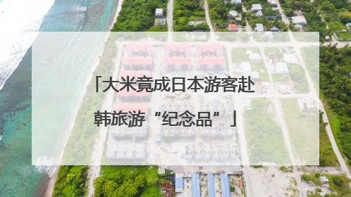 大米竟成日本游客赴韩旅游“纪念品”