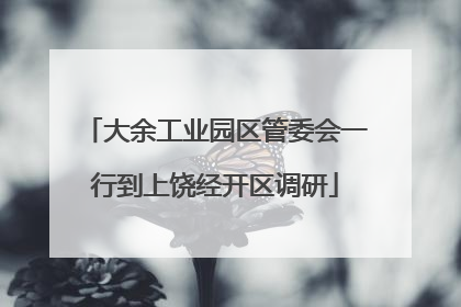 大余工业园区管委会一行到上饶经开区调研